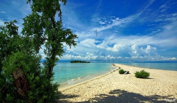 《流放之路》s24：提升吃花粉速度的技巧指南