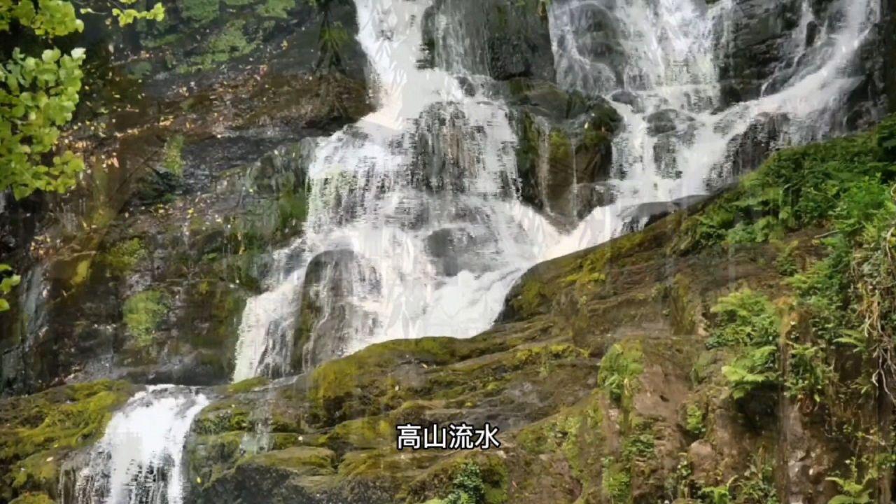 鲁迅原配妻子朱安,独守空房41年,晚年怒吼:我也是他的遗物啊
