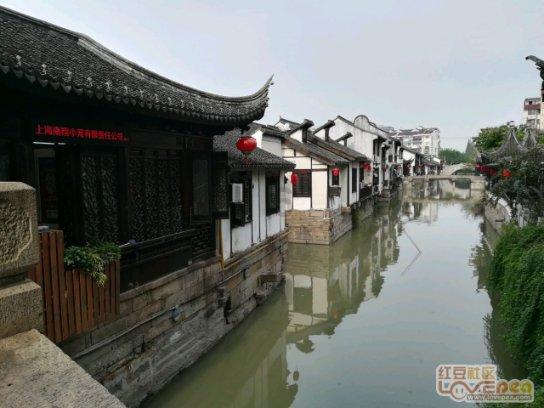 小狗救援行动选关版